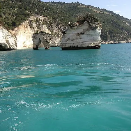 Degli Ulivi Villa Mattinata