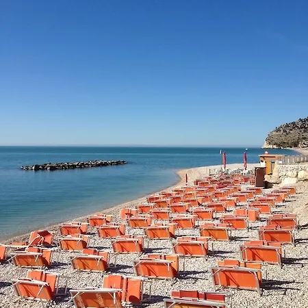 Degli Ulivi