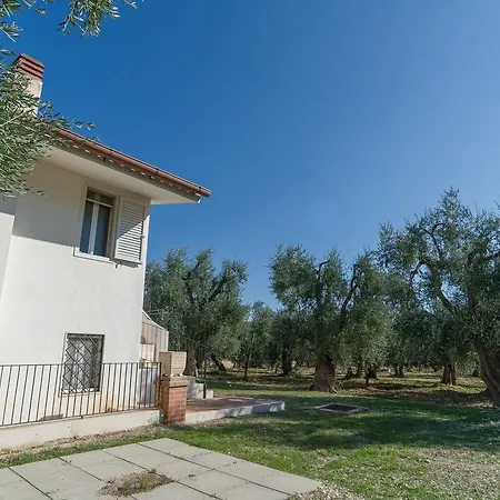 Villa Degli Ulivi *