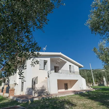 Villa Degli Ulivi