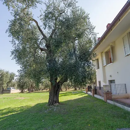 Villa Degli Ulivi Mattinata