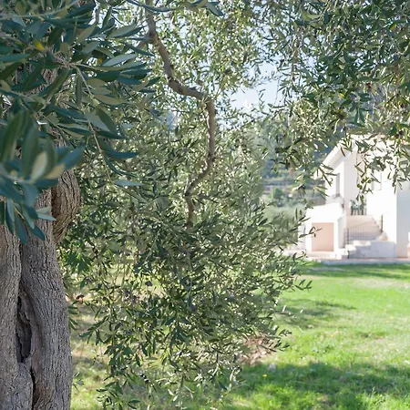 Degli Ulivi Mattinata