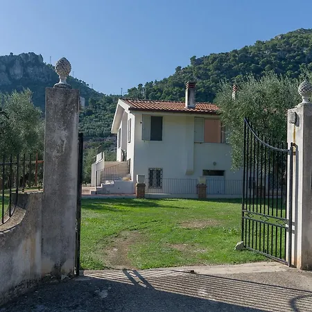 Degli Ulivi Willa