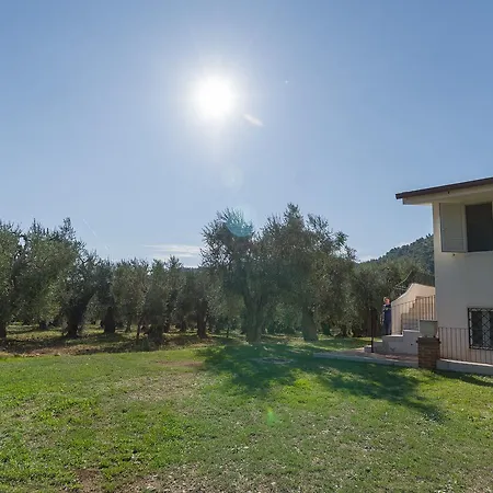 Degli Ulivi Willa