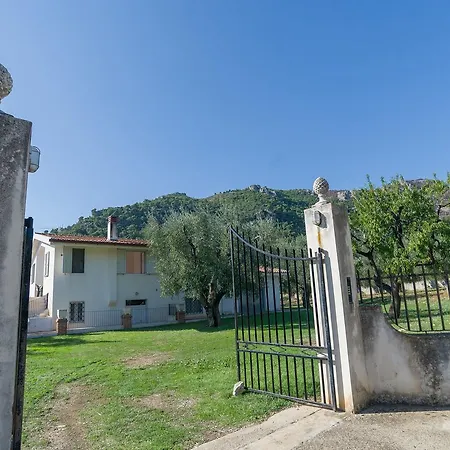 Degli Ulivi